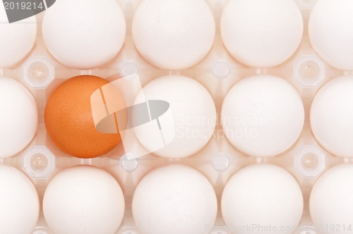 Image of Eggs in box