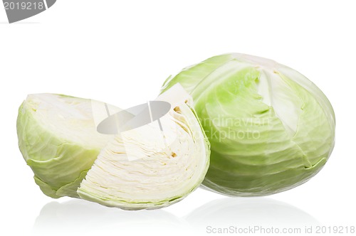 Image of Fresh cabbage