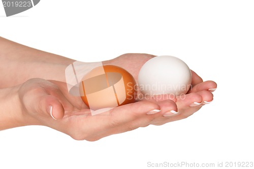 Image of Hand with egg