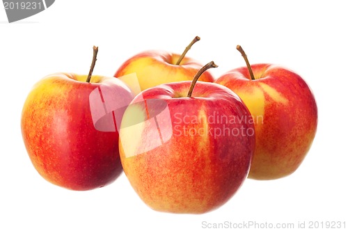 Image of Fresh apple