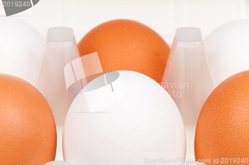 Image of Eggs in box