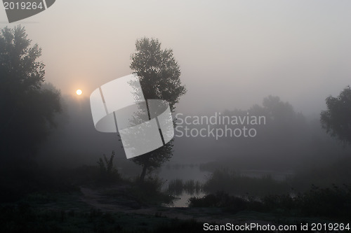 Image of Foggy morning 1