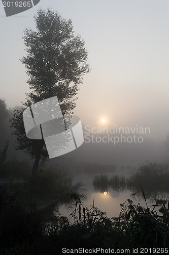 Image of Foggy morning 2