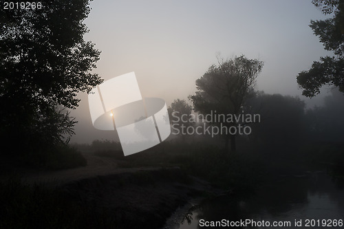 Image of Foggy morning 3