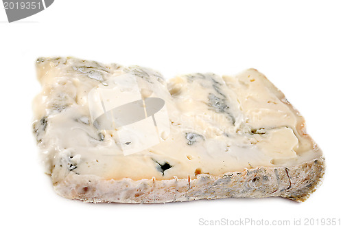 Image of gorgonzola