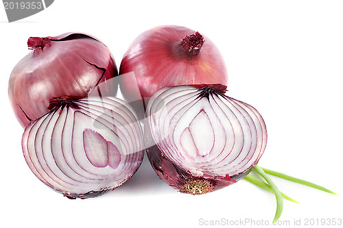 Image of red onion