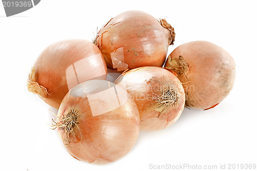 Image of yellow onions