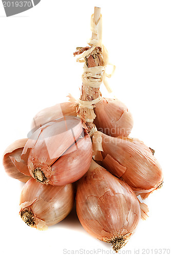 Image of shallots