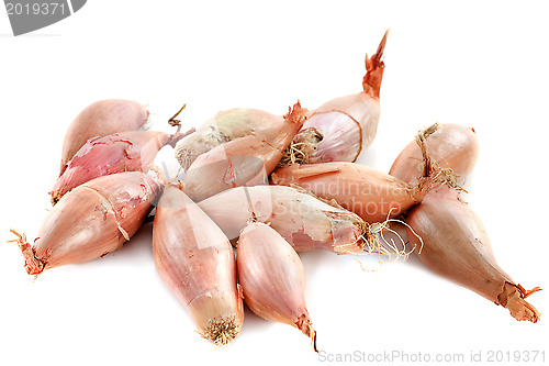 Image of shallots