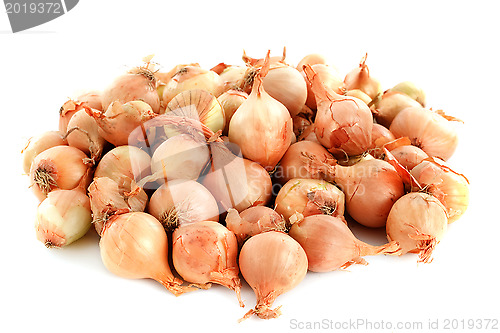 Image of pearl onions