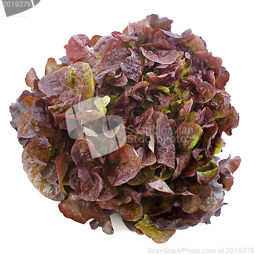 Image of red salad