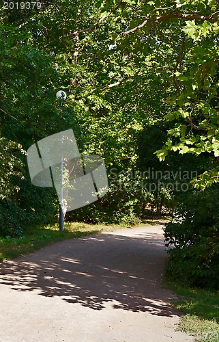 Image of Trail