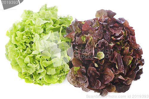 Image of red and green salads