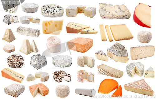 Image of various cheeses