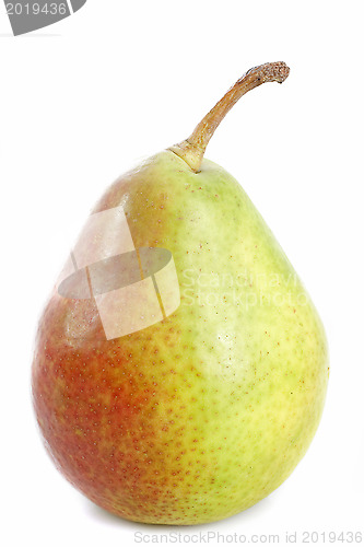 Image of comice pear