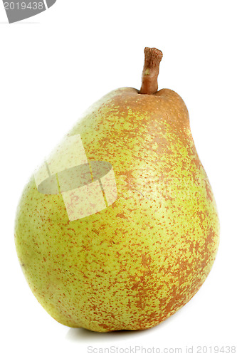 Image of conference pear