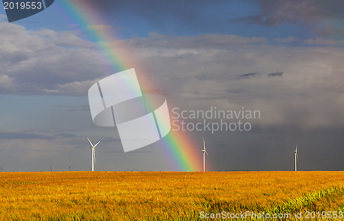 Image of Rainbow Over the Field