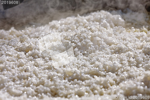 Image of rice