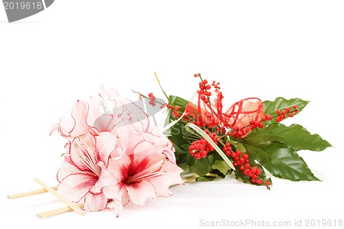 Image of bouquet of pink lily flower on white