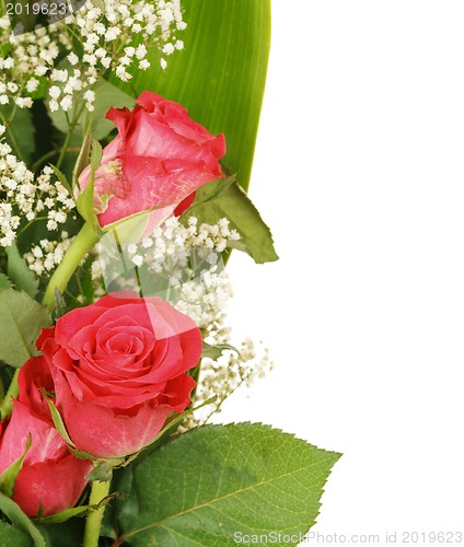 Image of Bouquet of fresh red roses on white