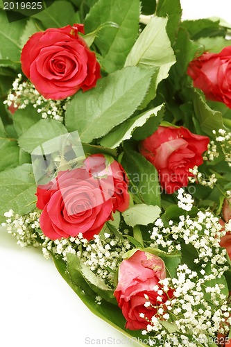 Image of Bouquet of fresh red roses on white
