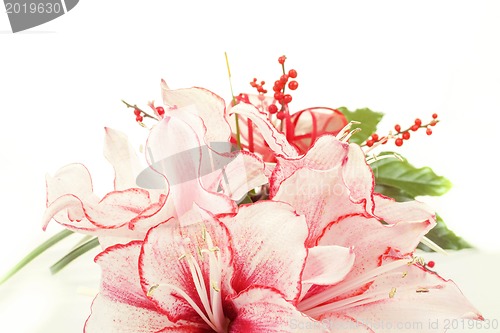 Image of detail of bouquet of pink lily flower on white