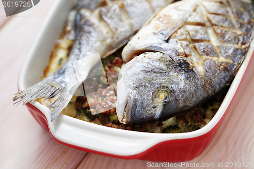 Image of dorada fish