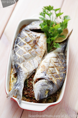 Image of dorada fish