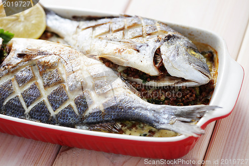 Image of dorada fish