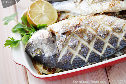 Image of dorada fish