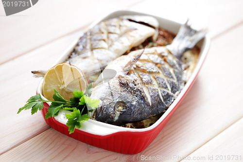 Image of dorada fish