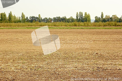 Image of Autumn field prepared after harvest