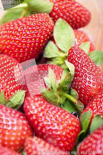 Image of Strawberry