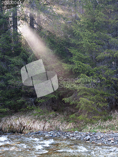 Image of Mountain forest sunrise