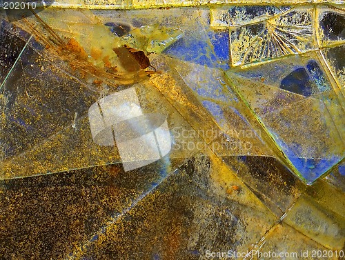 Image of Broken Glass