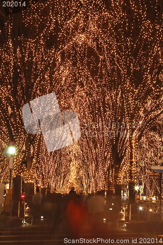 Image of Sendai December illumination festival