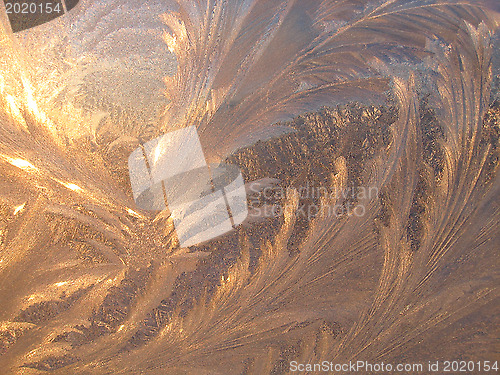 Image of Ice pattern and sunlight on winter glass