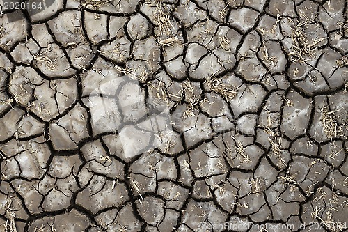 Image of Dry soil texture