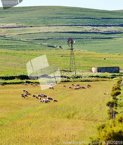 Image of windmill water pump