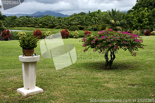 Image of  garden in  beau plan 