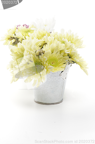 Image of Tin Buckets with Yellow Chrysanthemum