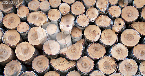 Image of Neatly Stacked Firewood