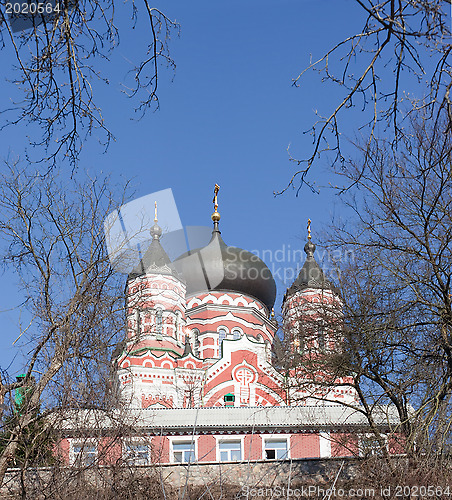 Image of Solitude cathedral