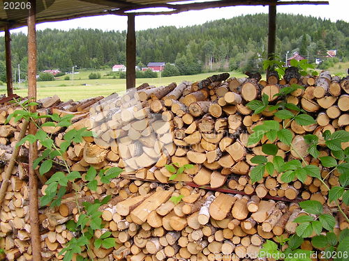 Image of Firewood