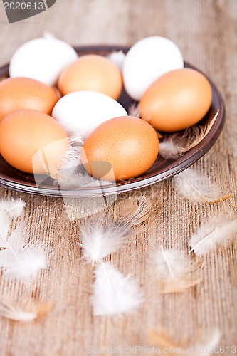 Image of eggs and feathers in a plate 