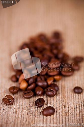 Image of fresh coffee beans 