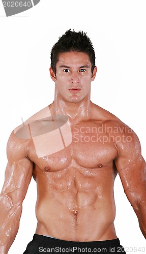 Image of Handsome muscular man isolated on white background 