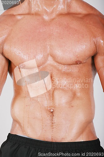 Image of Muscular and tanned male naked torso