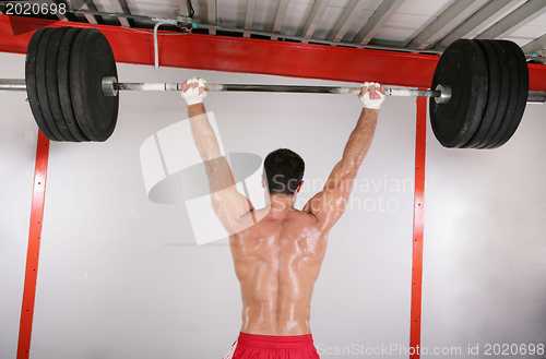 Image of young Bodybuilder training in gym.  Focus in the body