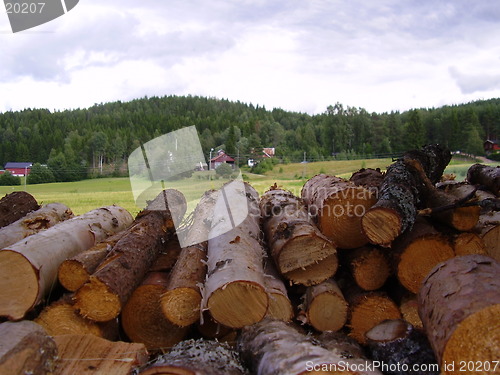 Image of Firewood